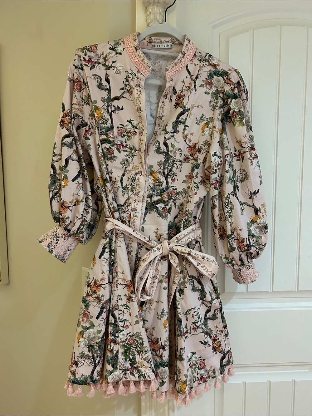 Alice + Olivia Blush Floral Tassel Tie-Waist Mini Dress worn 1x